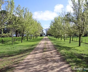 Rural / Farming commercial property for sale at 524 Remembrance Drive Windermere VIC 3352