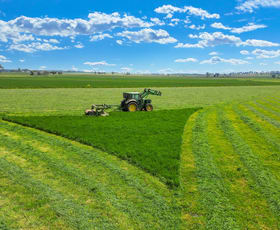 Rural / Farming commercial property for sale at 238 Old Winton Road Tamworth NSW 2340