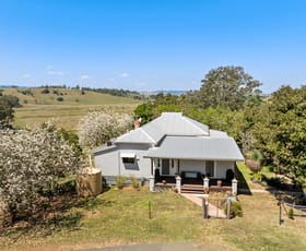 Rural / Farming commercial property for sale at 93 Ellems Road Kyogle NSW 2474