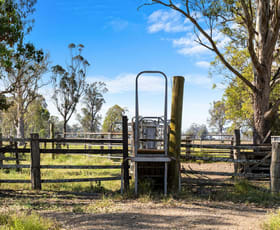 Rural / Farming commercial property for sale at 475 Ellangowan Road Yorklea NSW 2470