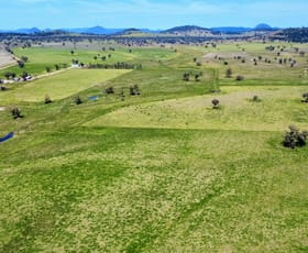 Rural / Farming commercial property for sale at Gunnedah NSW 2380