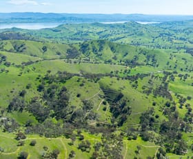 Rural / Farming commercial property for sale at . Packers Road Bethanga VIC 3691