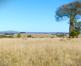 Rural / Farming commercial property for sale at 'Bracco' Orallo Road Roma QLD 4455