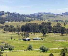 Rural / Farming commercial property for sale at 11 Roselands Lane Singleton NSW 2330