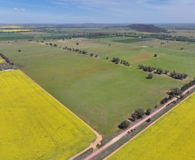 Rural / Farming commercial property for sale at 100 Tauntons Road Kikiamah NSW 2594