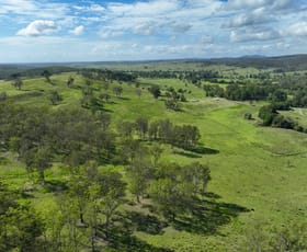 Rural / Farming commercial property for sale at 2926 & 2933 Sextonville Road Woolners Arm NSW 2470