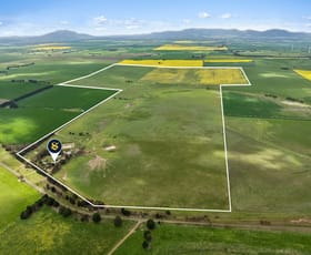 Rural / Farming commercial property for sale at 3077 Geelong Road Cross Roads VIC 3373