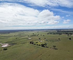 Rural / Farming commercial property for sale at ' Dalmallee' 735 Charcoal Tank Road West Wyalong NSW 2671