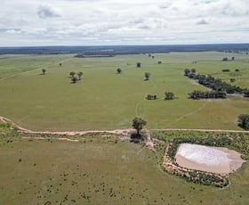 Rural / Farming commercial property for sale at ' Dalmallee' 735 Charcoal Tank Road West Wyalong NSW 2671