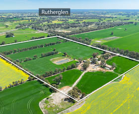 Rural / Farming commercial property for sale at 106 Cornishtown Road Rutherglen VIC 3685