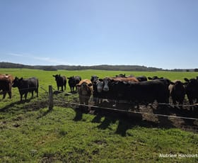 Rural / Farming commercial property for sale at 60 Skippings Road Kordabup WA 6333