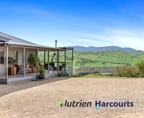 Rural / Farming commercial property for sale at 35 Prowds Lane Bonnie Doon VIC 3720