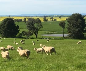 Rural / Farming commercial property for sale at 100 Powderly's Road Young NSW 2594