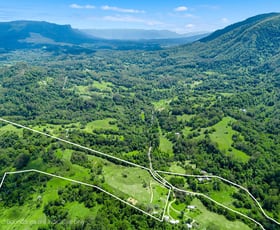 Rural / Farming commercial property for sale at 442 Blue Knob Road Nimbin NSW 2480 Rural / Farming commercial property for sale at 442 Blue Knob Road Nimbin NSW 2480