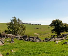 Rural / Farming commercial property for sale at 246 Wantabadgery Road Junee NSW 2663