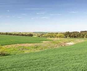 Rural / Farming commercial property for sale at 246 Wantabadgery Road Wantabadgery NSW 2650