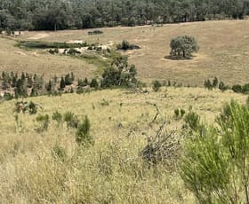 Rural / Farming commercial property for sale at Lot 9 Silver Spur Redgate Road Silver Spur QLD 4385