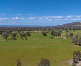 Rural / Farming commercial property for sale at 548 Laceby Glenrowan Road Glenrowan VIC 3675