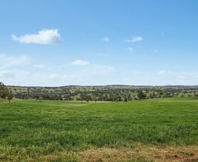 Rural / Farming commercial property for sale at Three Rivers Road Molong NSW 2866