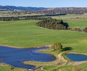 Rural / Farming commercial property for sale at 1120 Taylors Creek Road Tarago NSW 2580