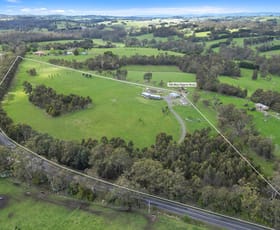 Rural / Farming commercial property for sale at 700 Main Neerim Road Drouin West VIC 3818