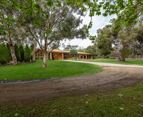 Rural / Farming commercial property for sale at 350 Repeater Station Road Naracoorte SA 5271