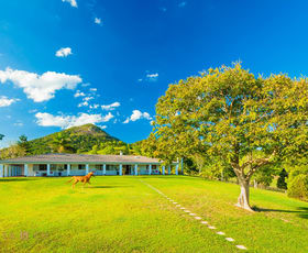 Rural / Farming commercial property for sale at 116 Lone Hand Road Eumundi QLD 4562
