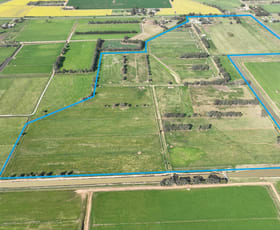 Rural / Farming commercial property for sale at 239 Waaia-Bearii Road Waaia VIC 3637