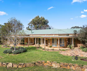 Rural / Farming commercial property for sale at 279 Doles Road Lyal VIC 3444