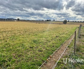 Rural / Farming commercial property for sale at 48 McLean Road Inverell NSW 2360