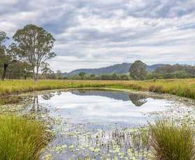 Rural / Farming commercial property for sale at 76 Stony Creek Road Kimbriki NSW 2429
