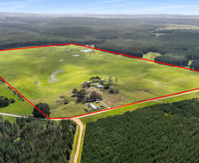 Rural / Farming commercial property for sale at 77 Furness Road Wandilo SA 5291