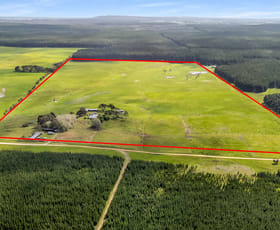 Rural / Farming commercial property for sale at 77 Furness Road Wandilo SA 5291