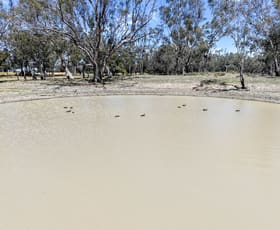 Rural / Farming commercial property for sale at 1359 Saddleback Road Forbes NSW 2871