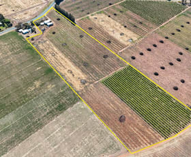 Rural / Farming commercial property for sale at Lot 2 LP 128006 Ridge Rd Tresco VIC 3583