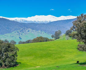 Rural / Farming commercial property for sale at Lot 1 Upper Murray Road Towong Upper VIC 3707