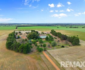 Rural / Farming commercial property for sale at 56 Thomson Lane Brucedale NSW 2650