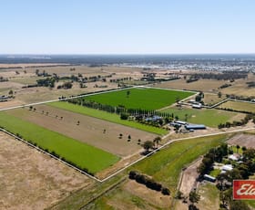 Rural / Farming commercial property for sale at 223 McSwains Road Echuca VIC 3564