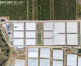 Rural / Farming commercial property for sale at 331 Johns Road Lewiston SA 5501