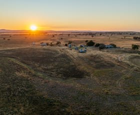 Rural / Farming commercial property for sale at Motherleigh 98 The Grange Road Peak Hill NSW 2869 Rural / Farming commercial property for sale at Motherleigh 98 The Grange Road Peak Hill NSW 2869