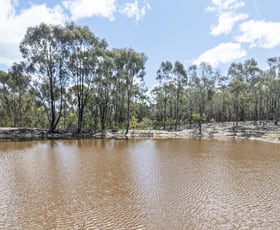 Rural / Farming commercial property for sale at Lot 3 Gellibrand Tonks Road Earlston VIC 3669