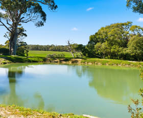 Rural / Farming commercial property for sale at 10665 Caves Road Deepdene WA 6290