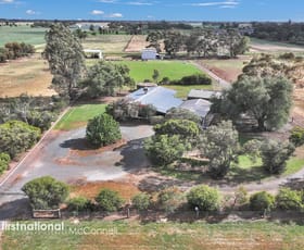 Rural / Farming commercial property for sale at 125 Paynes Lane Lancaster VIC 3620