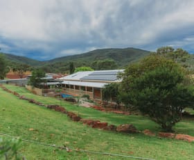 Rural / Farming commercial property for sale at "Gap View" Wells Gully Road Muswellbrook NSW 2333