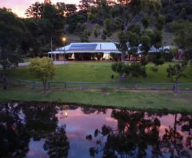 Rural / Farming commercial property for sale at "Gap View" Wells Gully Road Muswellbrook NSW 2333