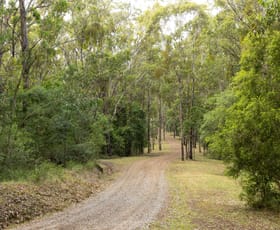 Rural / Farming commercial property for sale at 312 Wollong Road Quorrobolong NSW 2325