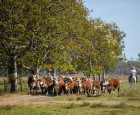Rural / Farming commercial property for sale at 2920 Casino Coraki Road Tatham NSW 2471