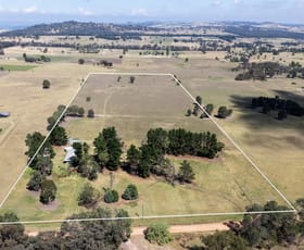 Rural / Farming commercial property for sale at 1021 Black Springs Road Mudgee NSW 2850 Rural / Farming commercial property for sale at 1021 Black Springs Road Mudgee NSW 2850