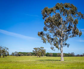 Rural / Farming commercial property for sale at 520 Walkington Hills Road Bangham SA 5268