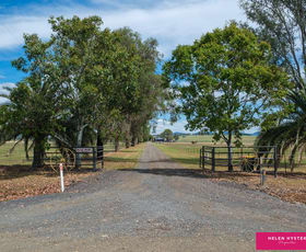 Rural / Farming commercial property for sale at 407 Meadows Lane Tamworth NSW 2340